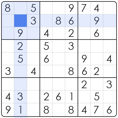 sudoku entry